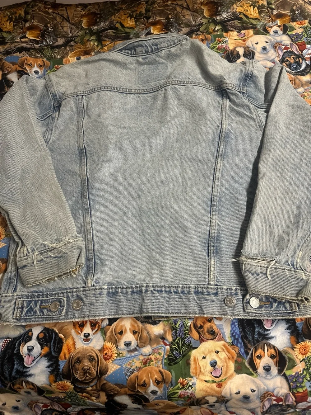 Levis authentic levi